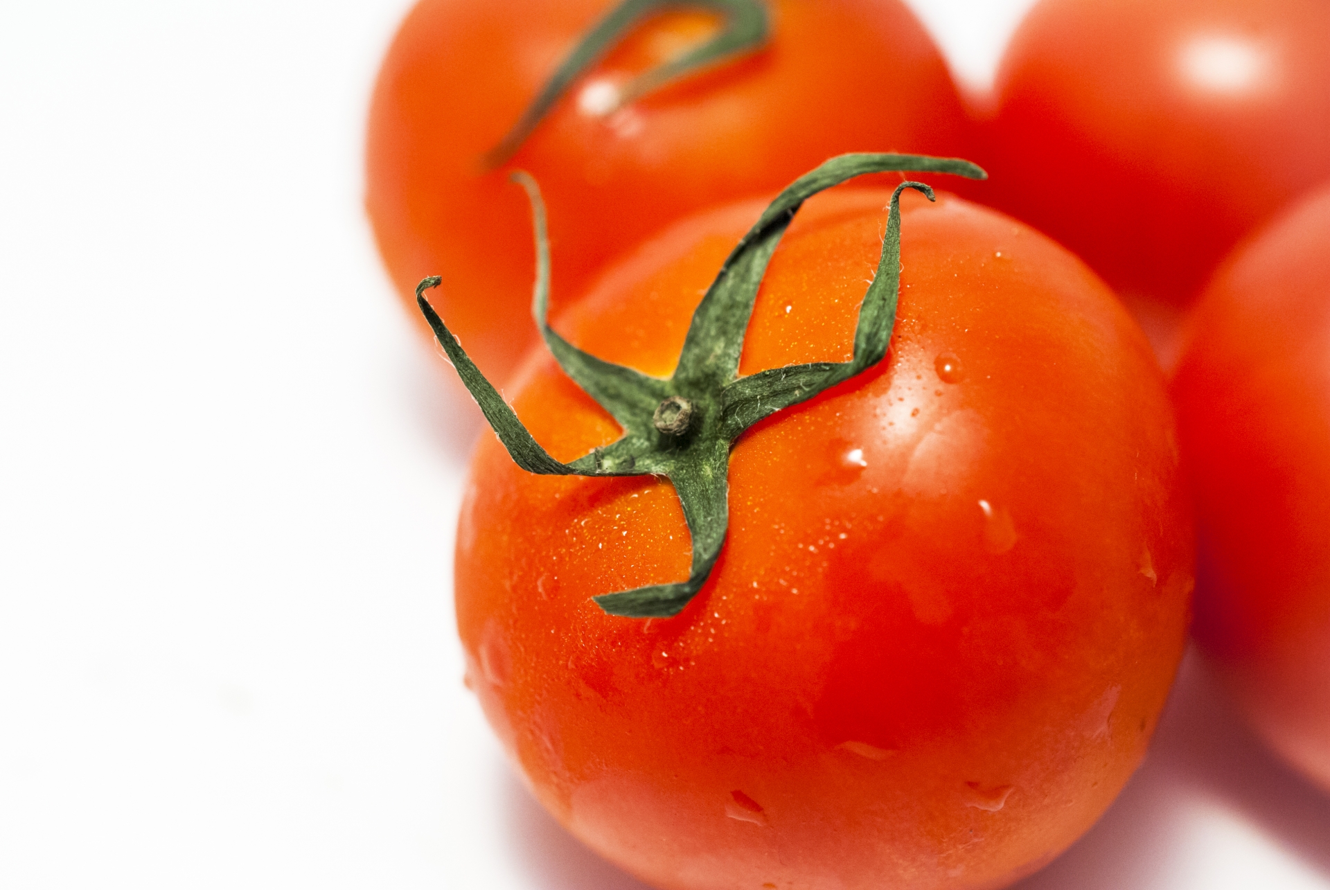 トマトの収穫、なぜ実が割れるのか？