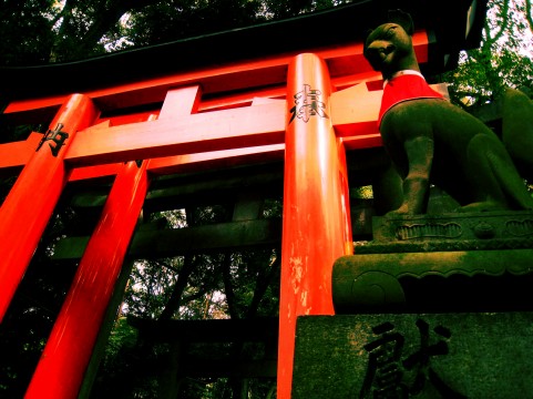 神秘のパワーに触れる〜日本の有名な神社は世界でも注目！