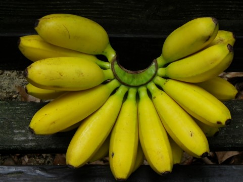 バナナの保存｜切ったバナナは命短し、冷凍で栄養アップ