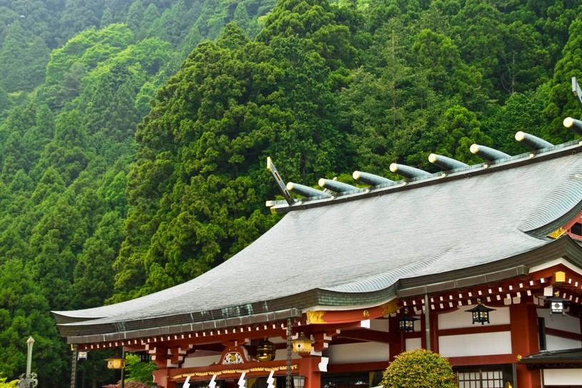 京都の神社は存在感が違う！パワースポットはどこだ！
